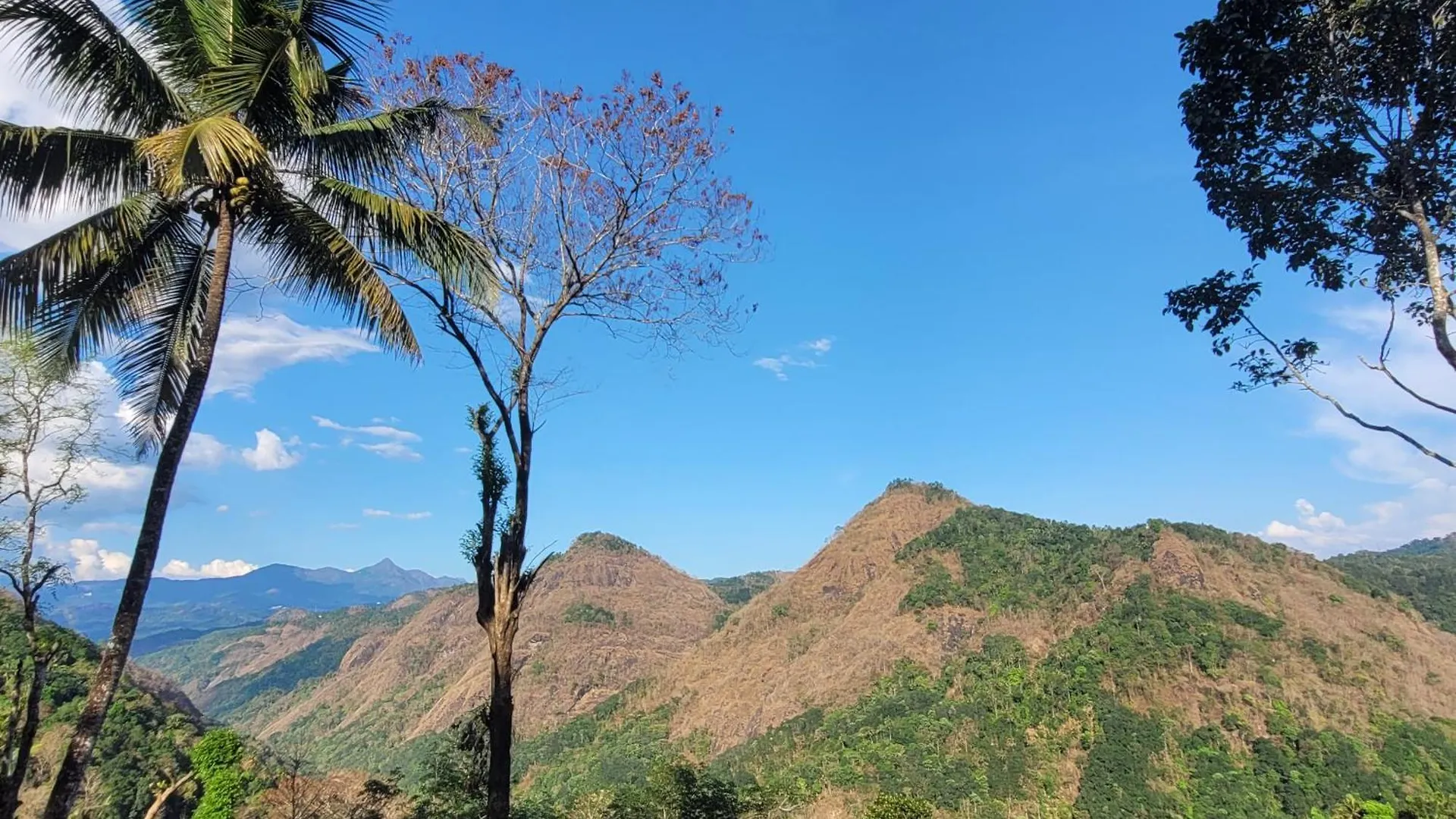 Villa Newcastle Holiday Resorts Entire Property With 5 Bedrooms-Near Munnar & Idukki-Superb Vibe,View - Kitchen, Campfire & Bbq Facility Kumudi