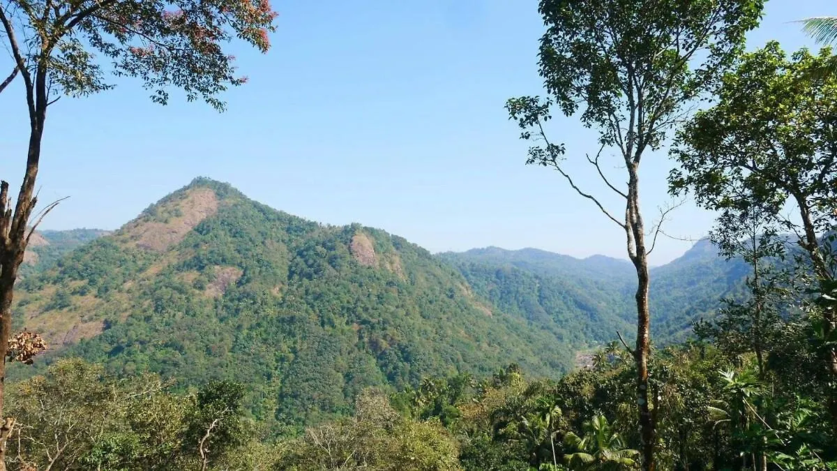 Newcastle Holiday Resorts Entire Property With 5 Bedrooms-Near Munnar & Idukki-Superb Vibe,View - Kitchen, Campfire & Bbq Facility Kumudi India