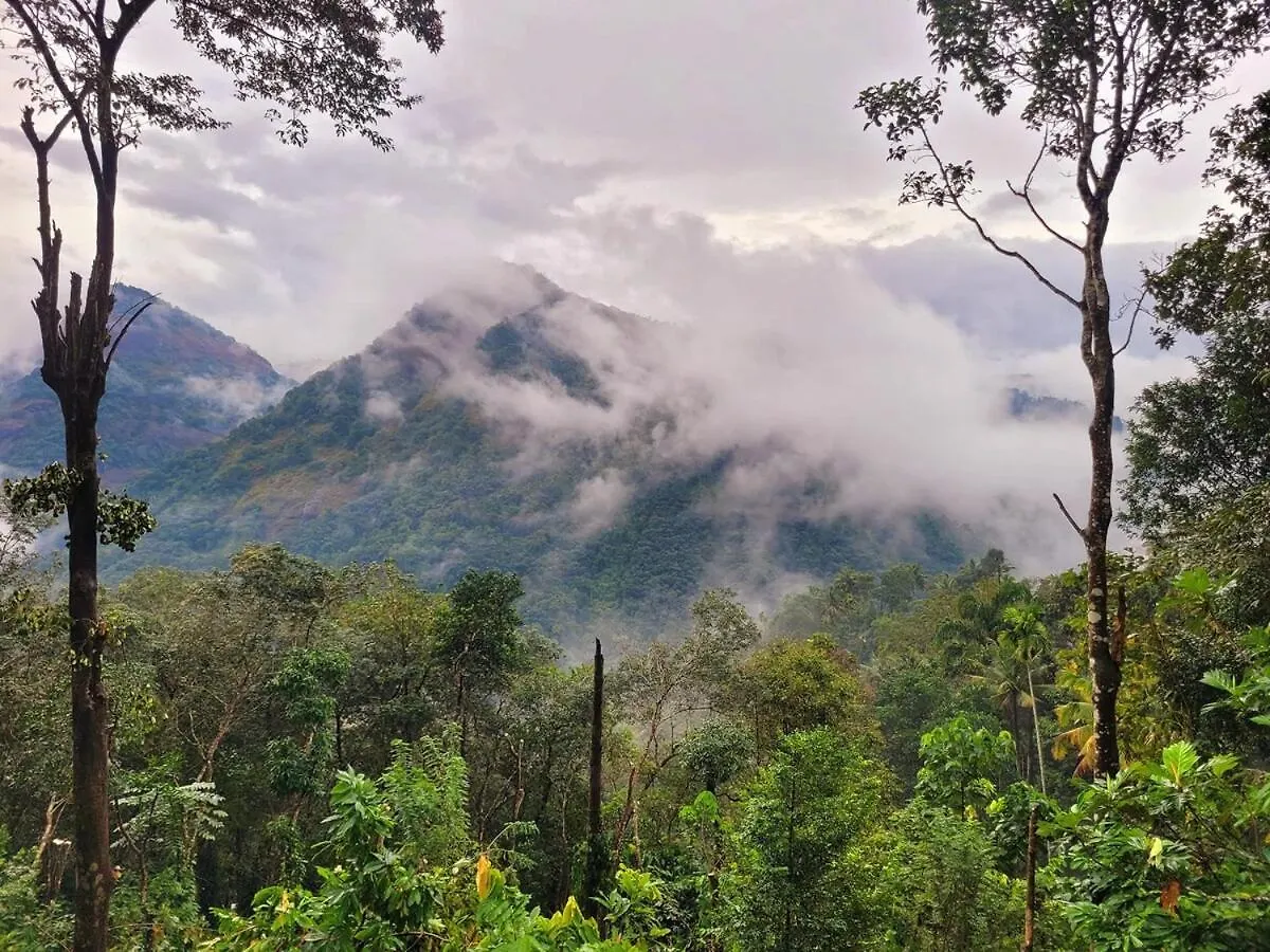 Newcastle Holiday Resorts Entire Property With 5 Bedrooms-Near Munnar & Idukki-Superb Vibe,View - Kitchen, Campfire & Bbq Facility Kumudi 0*,  India