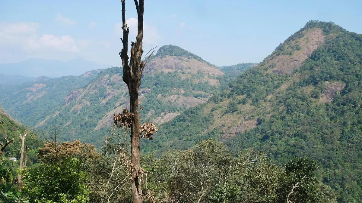 Villa Newcastle Holiday Resorts Entire Property With 5 Bedrooms-Near Munnar & Idukki-Superb Vibe,View - Kitchen, Campfire & Bbq Facility Kumudi Indien